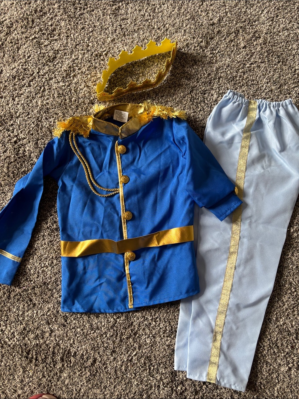 Blue and Gold Prince Costume for Kids Perfect for Halloween or Disney Cruise